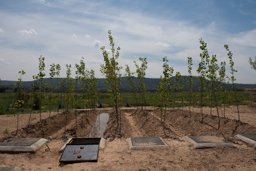 Innovadores filtros verdes