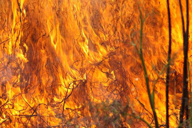 Tres incendios forestales en Galicia ‘fulminan’ más de 150 hectáreas