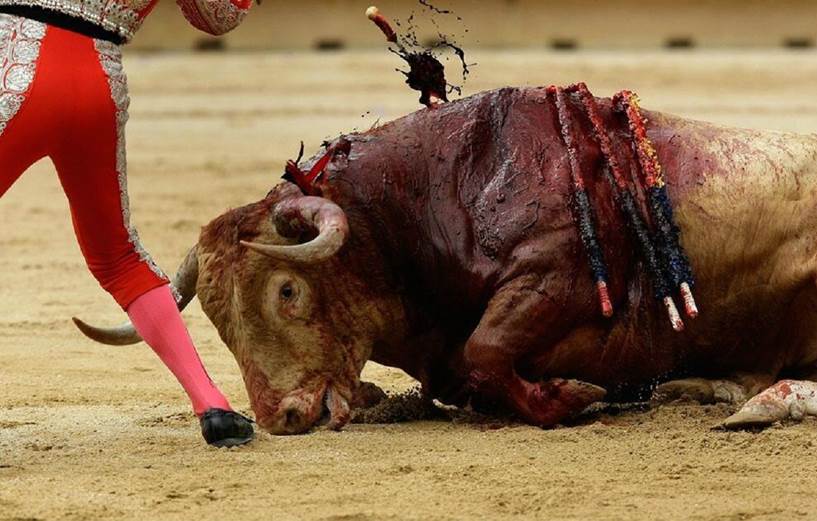 Extremadura ‘dilapida’ 86.000€ con los toros
