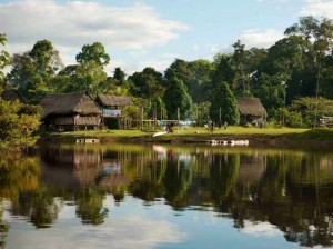 Fondo del Biocarbono lanza iniciativa sobre paisajes forestales sostenibles