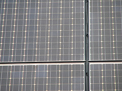 Prosolia realizará la instalacíon de un millar de placas fotovoltaicas en Mercalgeciras