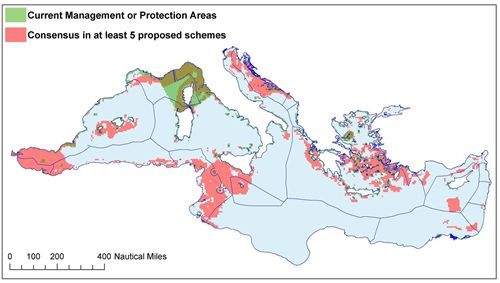 El 10% del Mediterráneo debe protegerse