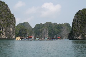 Están los bosques y la biodiversidad desempeñando un rol vital en la seguridad alimentaria y la adaptación al cambio climático