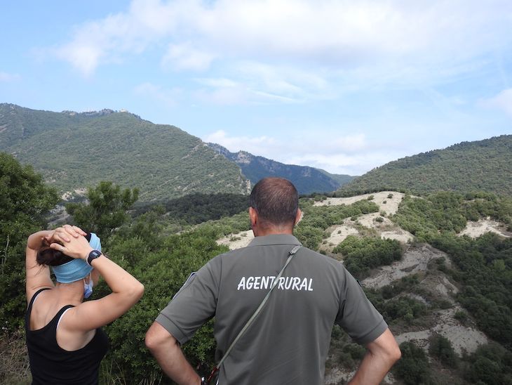 Los bosques de Catalunya tienen un año complicado