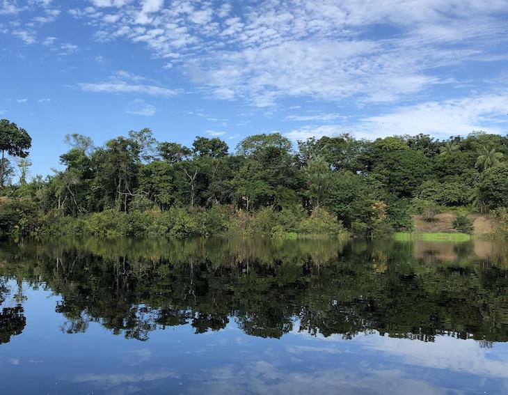 SEO/BirdLife: universalizar el derecho a un medioambiente sano