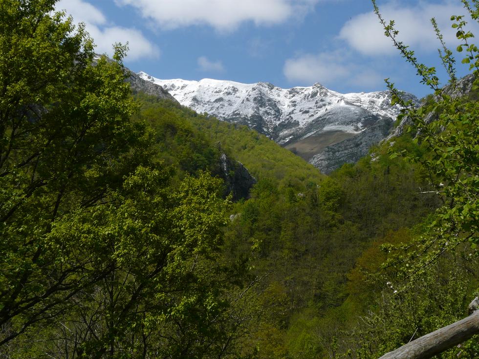 La montaña central asturiana esta amenazada