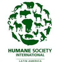 Homicidio de Activista Pro Tortugas Marinas en Costa Rica