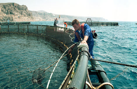 Piagua desarrolla un proyecto de mejora ambiental y energética de su piscifactoría