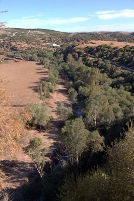 Trabajos forestales de la Agencia de Medio Ambiente y Agua en la vega de El Torno