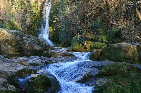 Castillo afirma que la Ley de Aguas asegurará la protección y recuperación de los acuíferos de Andalucía