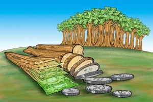 Brasil arranca una normativa para resguardar los bosques y selvas del país