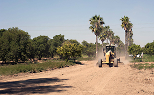 La Junta inicia la ampliación del Parque del Alamillo de Sevilla en 40 hectáreas hacia el Guadalquivir
