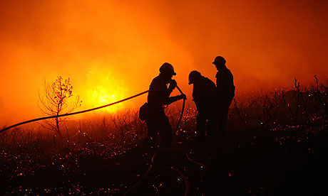 Cien incendiarios detenidos este año en Galicia