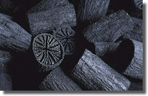 Promueven la creación de la Asociación Nacional de Productores de Carbón Vegetal