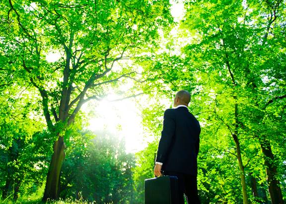 Te gustaría ser asesor ambiental