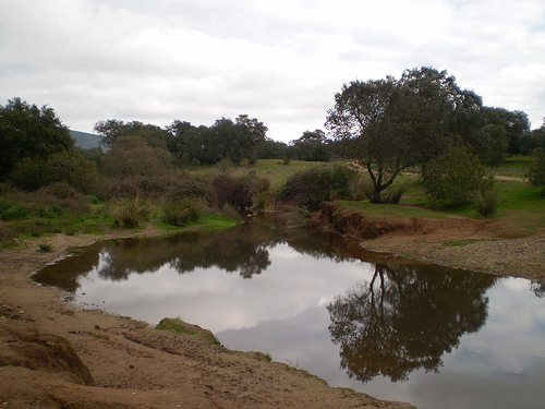 Detenidas dos personas por verter residuos a dos arroyos de Morón a través de una tubería