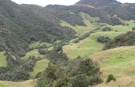 Cuenca define nuevas áreas de protección