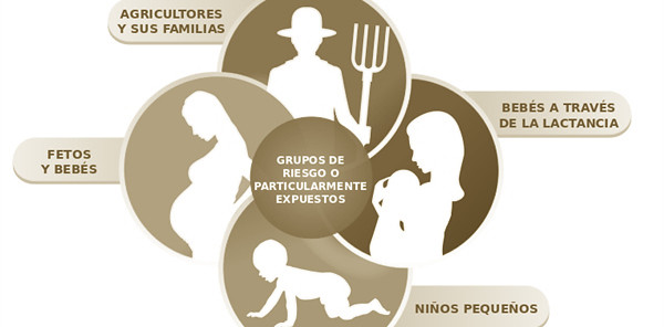 Agricultores ‘atiborrados’ de plaguicidas