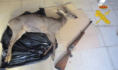 Caza furtiva en Laciana y Omaña (León)