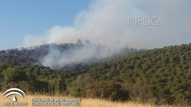 Afectadas cinco hectáreas de matorral y arbolado en el incendio de Villafranca de Córdoba