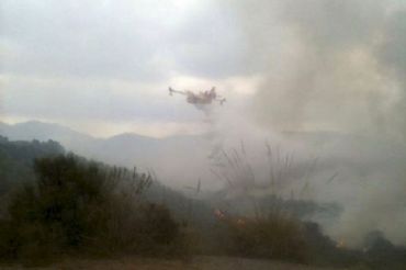 EQUO RM pide que la recuperación del espacio afectado por el incendio respete las condiciones naturales