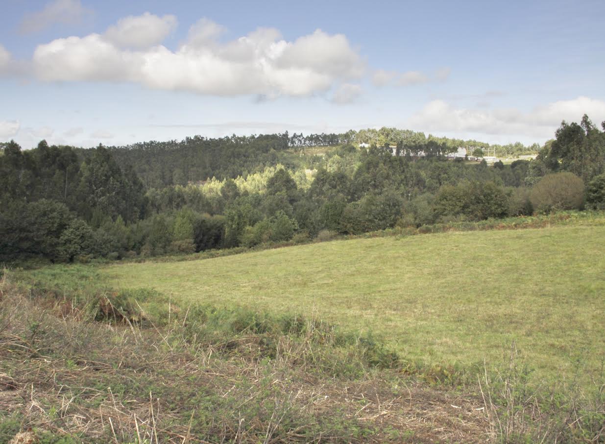 Asturias es un coladero con nuevos vertederos disfrazados de pumaradas
