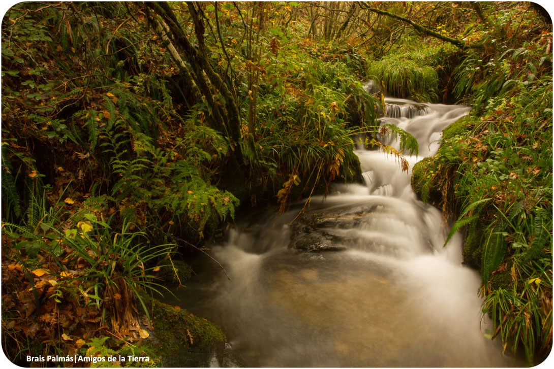 Juncker confirma que las normativas que protegen la Naturaleza se salvarán y no se modificarán ni debilitarán