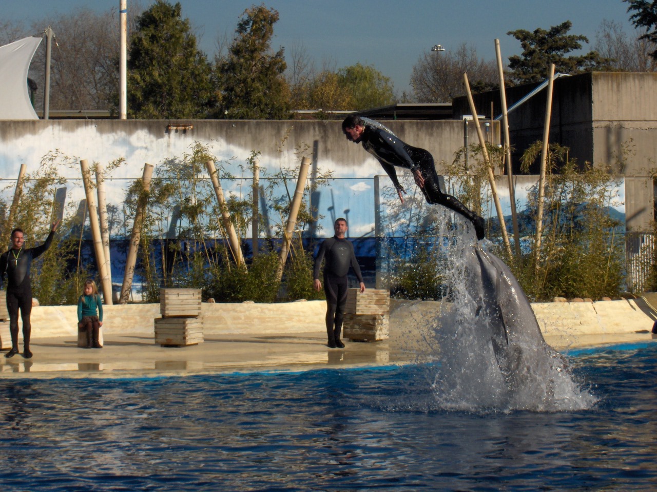 Protesta mundial contra la cautividad de los cetáceos  en delfinarios y orcarios.
