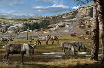 Los humanos y el cambio climático