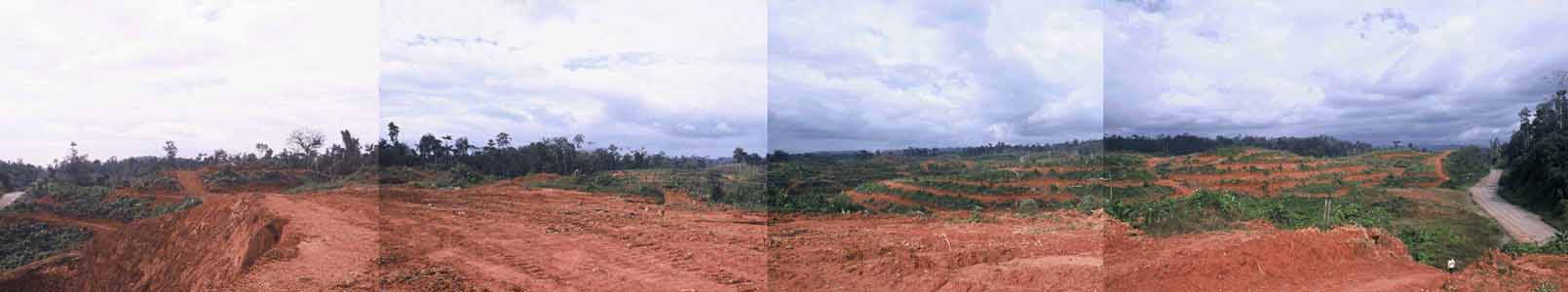Comunidades y bosques amenazados por redd