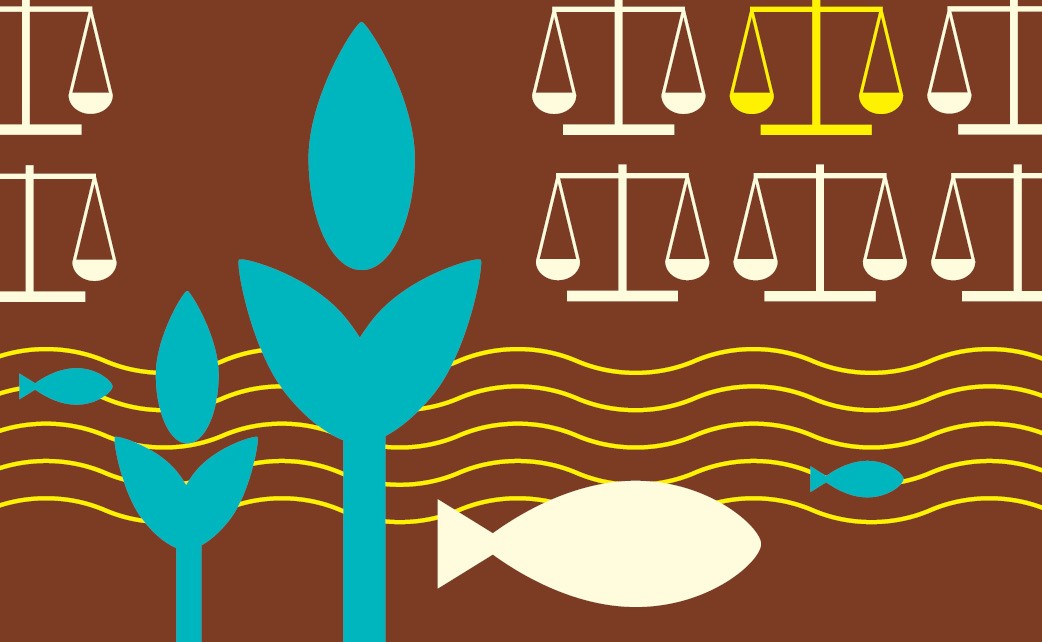 Avances Latinoamericanos en Regulación Ambiental