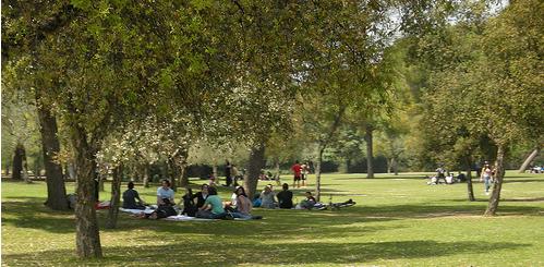 Nueva zona botánica de 10 hectáreas en el parque del Alamillo