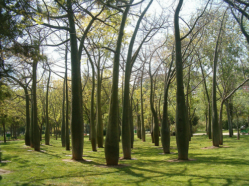 Cáceres acogerá el 3 de marzo un nuevo encuentro de la Mesa Extremeña por la Restauración Colectiva Ecológica