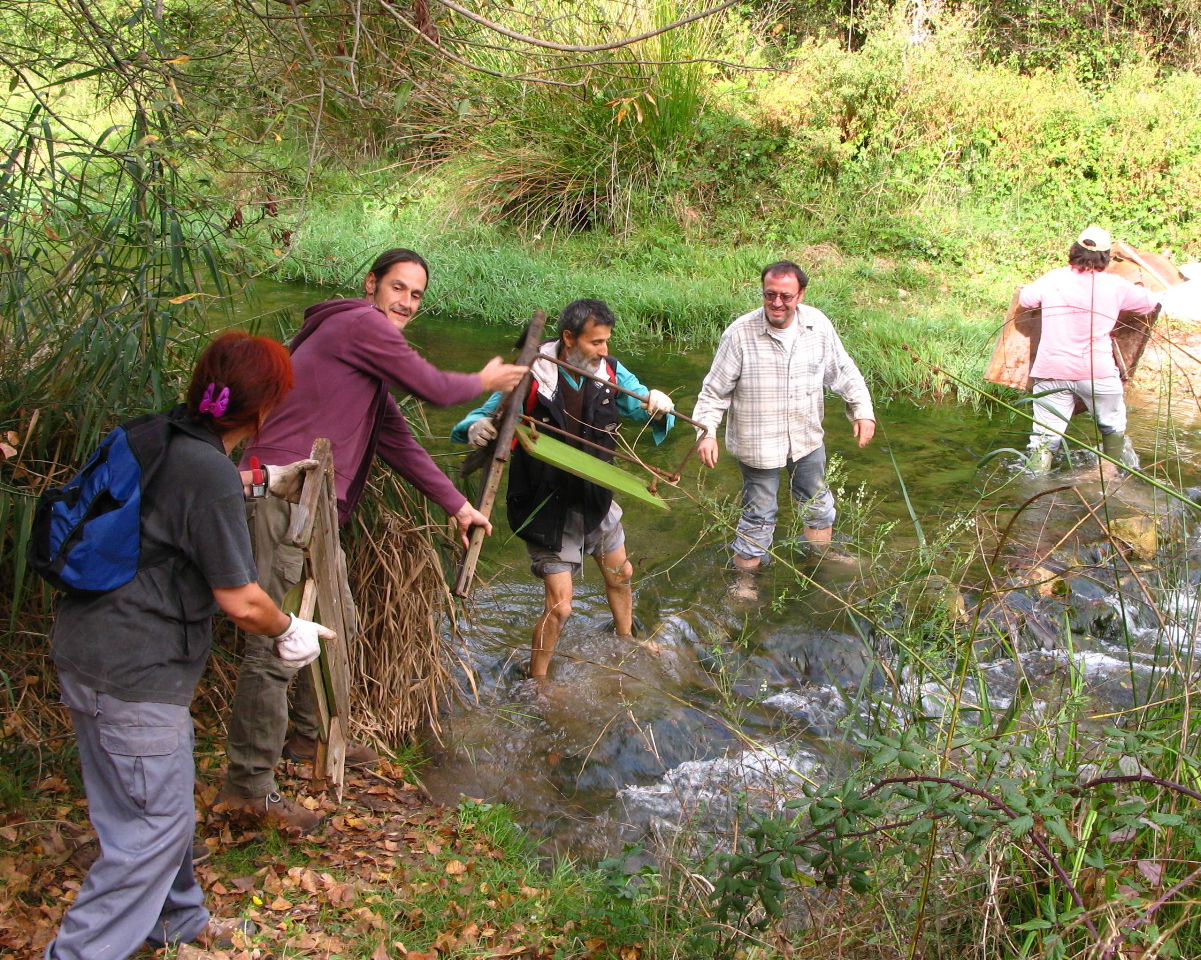 Medio Ambiente apoya más de 30 actividades de voluntariado para la conservación de playas y ríos
