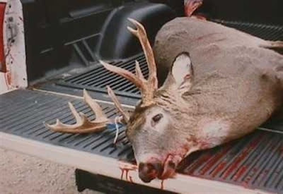 Dos imputados en Huelva por descuartizar ciervas para la venta ilegal
