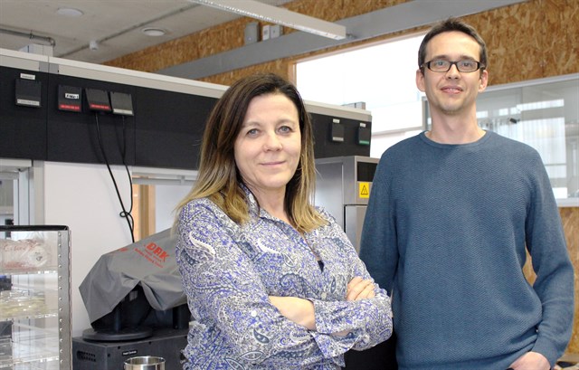 Un proyecto analizará los efectos de los residuos generados por el turismo en islas del Mediterráneo