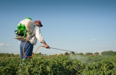 El Govern edita 2.000 ejemplares de una guía de referencia para el uso profesional de productos fitosanitarios