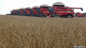 Cultivos transgénicos superan a los "naturales" en Brasil