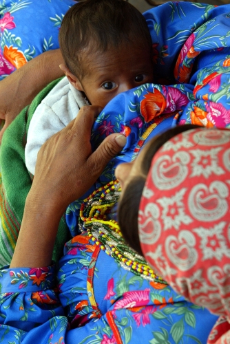 Más ecología y menos economía para Río+20