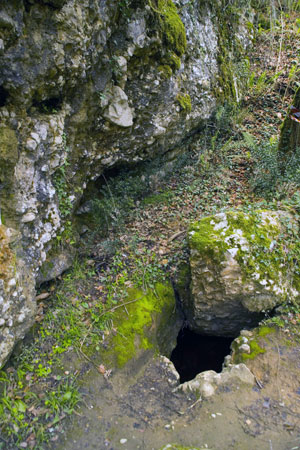 Neandertales caníbales habitaron la cueva de El Sidrón en Asturias