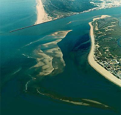 Cartografían la presencia de metales pesados en el estuario del Guadiana