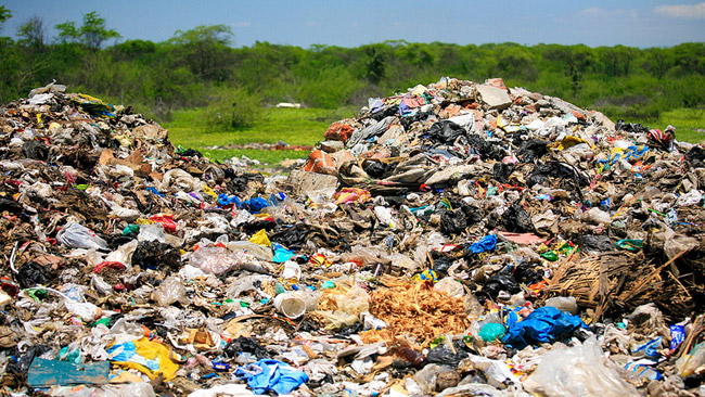Exigen a la Comunidad de Madrid que cumpla con la ley en la reducción de basura orgánica en vertederos