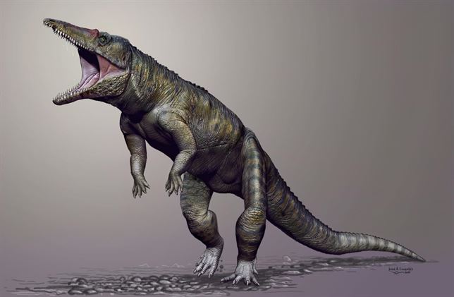 En América del Norte un ancestro del cocodrilo fue el mayor depredador antes de los dinosaurios