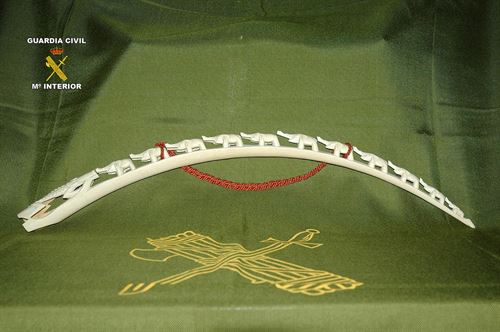 Los 28 acuerdan un plan contra tráfico de especies en Europa