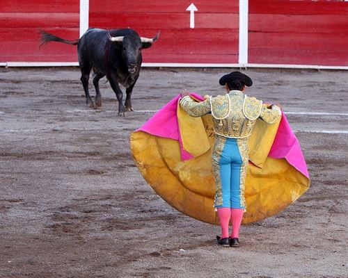 En Change.org se movilizan para retirar la sección toros de la página web turística de Madrid