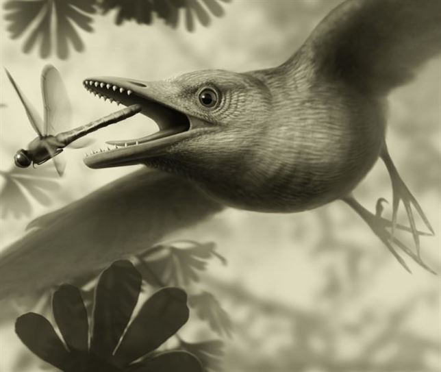 Las aves que compartieron espacio y tiempo con los dinosaurios