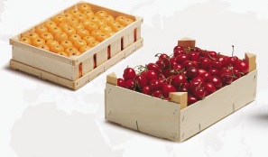 Valorización de los residuos de envase