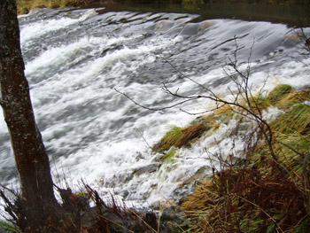 Los nuevos planes hidrológicos