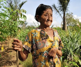 Los temores sobre derechos comunitarios en REDD+ son justificados a pesar de reformas en la tenencia de la tierra