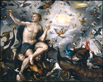 SEO/BirdLife edita una novedosa publicación sobre la gran pinacoteca. Las aves en la pintura del Prado (01/10/10)